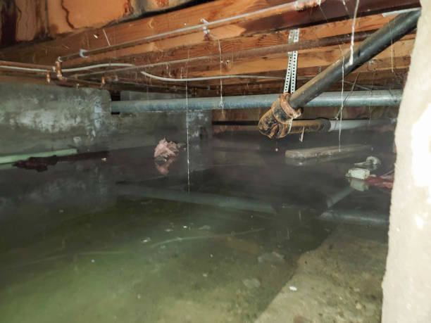 Best Local water damage restoration  in Riverdale Park, CA
