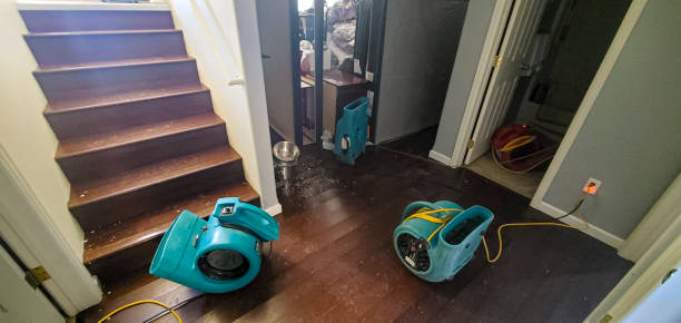 Best 24/7 water damage repair  in Riverdale Park, CA