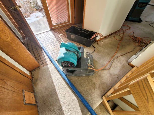 Best Mold removal after water damage  in Riverdale Park, CA