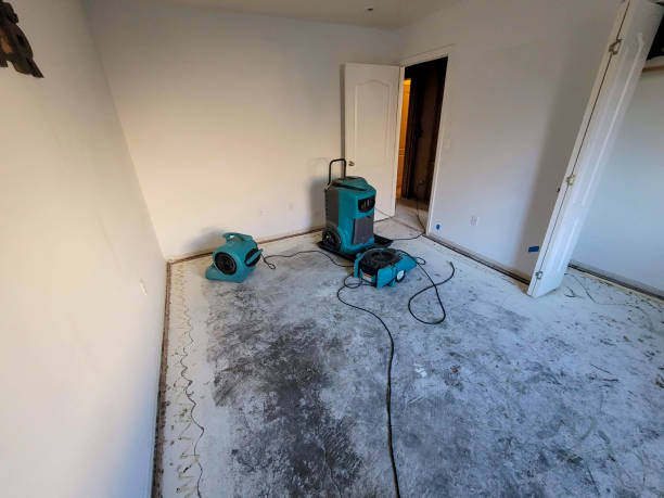 Best Water damage restoration process  in Riverdale Park, CA