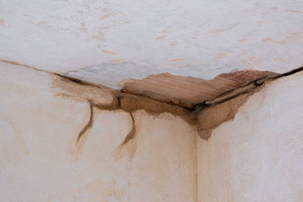 Best Water damage restoration insurance claims  in Riverdale Park, CA