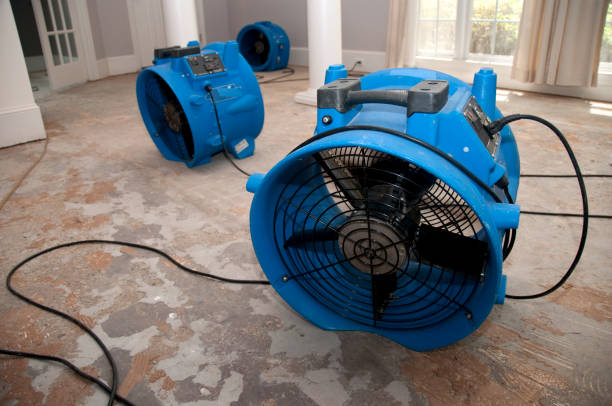 Best Ceiling water damage repair  in Riverdale Park, CA