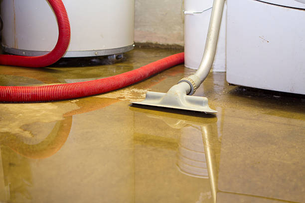 Best Water damage cleanup near me  in Riverdale Park, CA