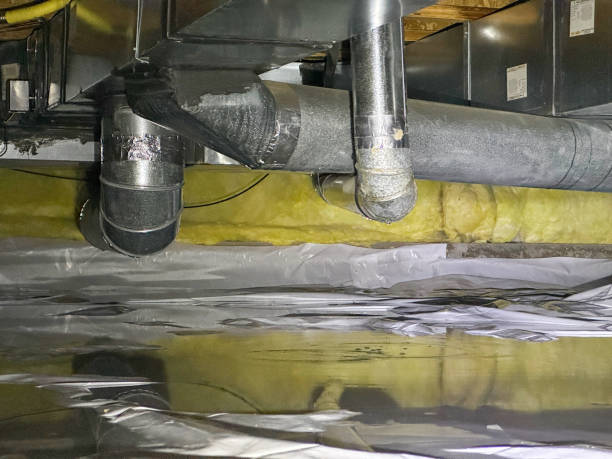 Best Water damage contractors near me  in Riverdale Park, CA