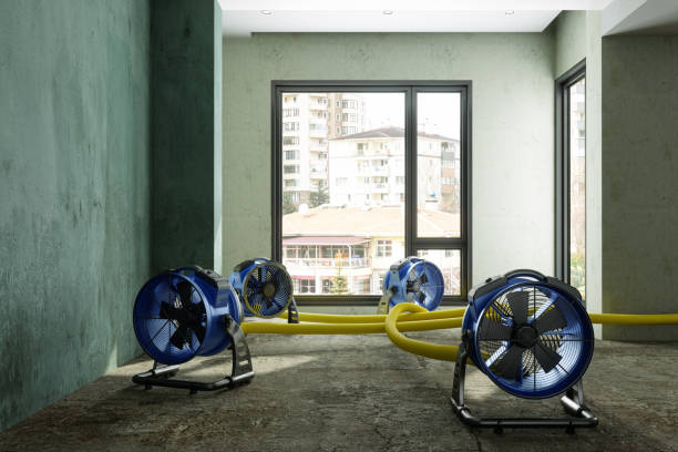 Best Water damage restoration near me  in Riverdale Park, CA